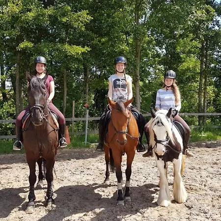 Ferienhaus: Mitten Auf Dem Reiterhof Tatil Evi Öhringen